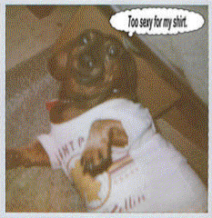Fritz with his sexy shirt